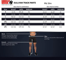 Load image into Gallery viewer, Sullivan Track Pants - Gray